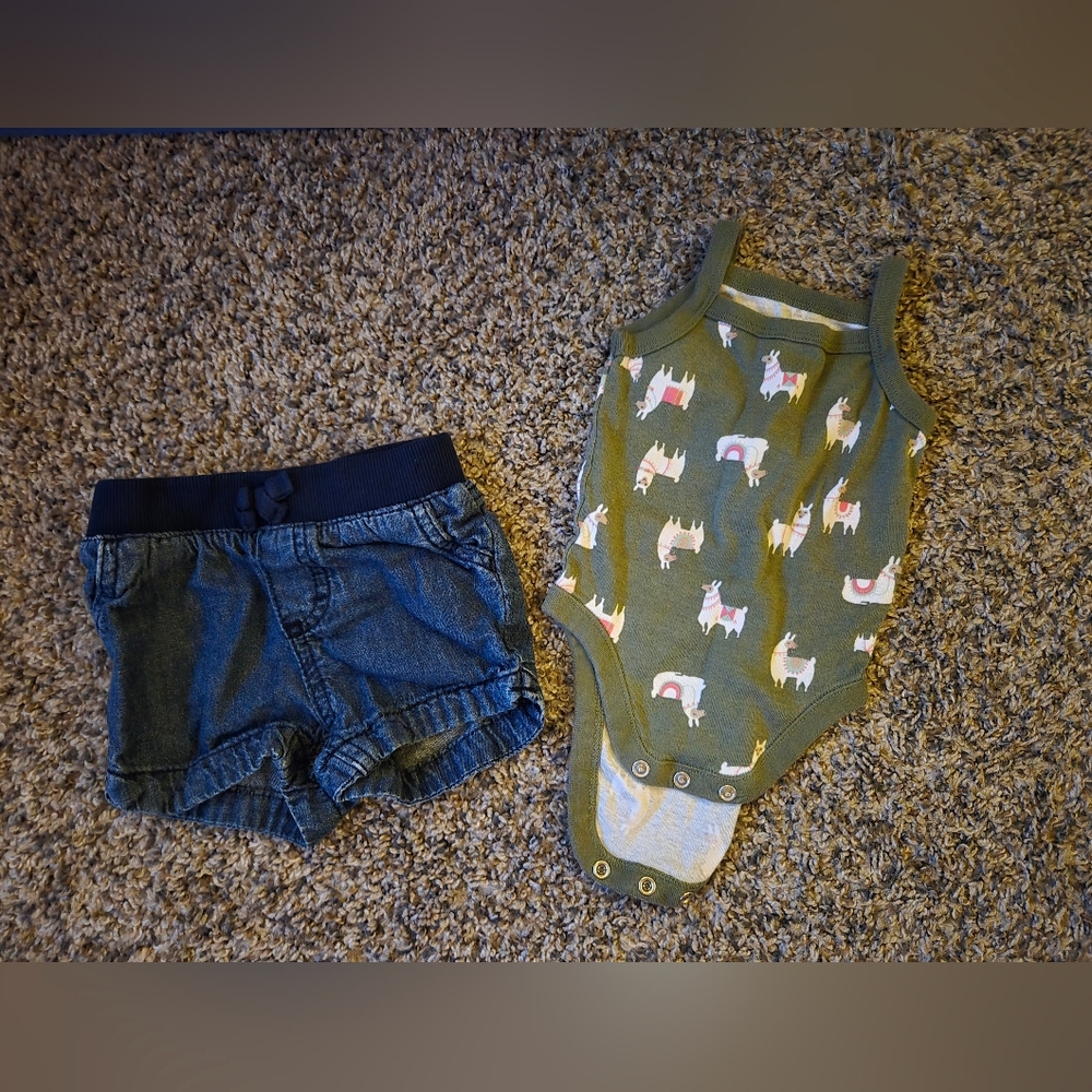 Baby Toddler Girl Clothes Bundle Size 9 Months To 2T - Picture 13 of 13